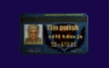 Control Id Cards Puzzle